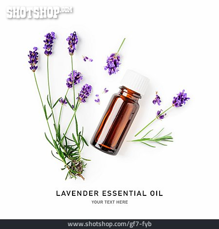 
                ätherisches öl, Lavendel, Lavender Essential Oil                   