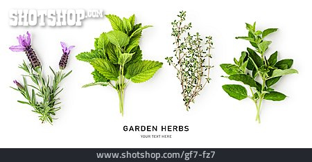 
                Gartenkräuter, Garden Herbs                   