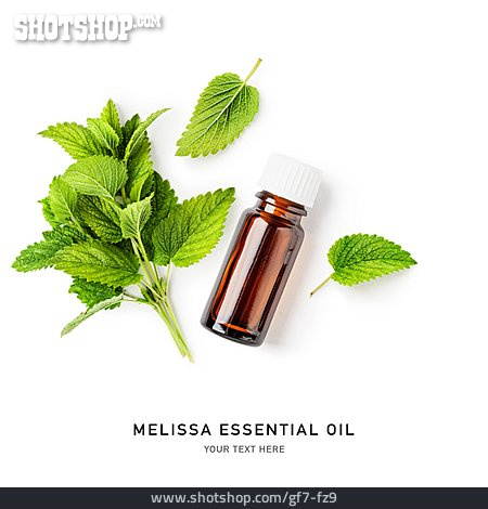 
                ätherisches öl, Melissa, Melissa Essential Oil                   