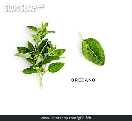 
                Oregano, Oreganoblatt                   