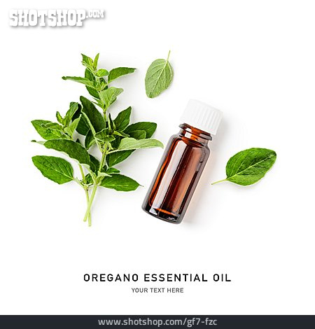 
                Oregano, ätherisches öl, Oregano Essential Oil                   