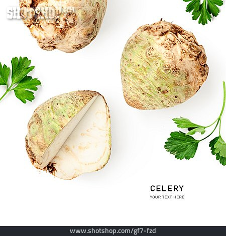 
                Sellerie, Celery                   