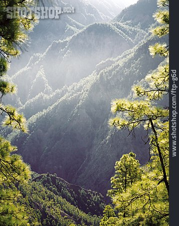 
                Nationalpark Caldera De Taburiente                   