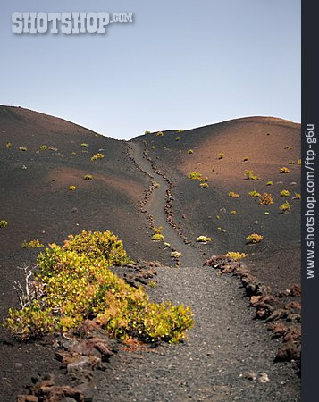 
                Wanderweg, Vulkanlandschaft                   