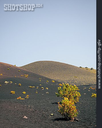 
                Vulkanlandschaft, La Palma, Cumbre Vieja                   