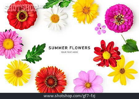 
                Sommerblumen, Summer Flowers                   