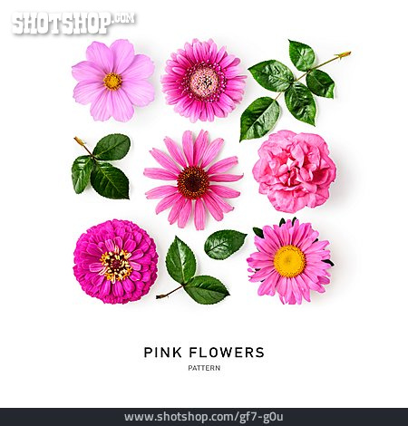 
                Blumen, Muster, Pattern, Pink Flowers                   