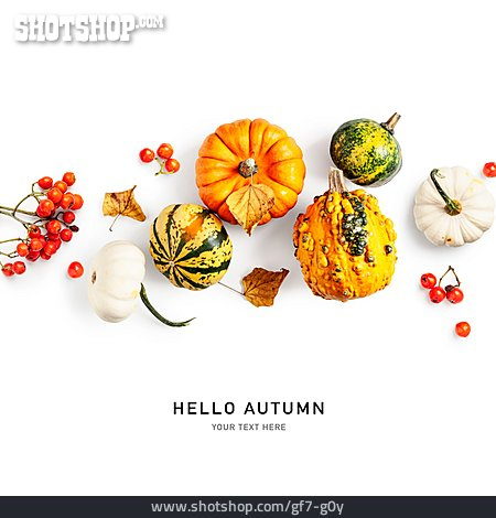 
                Hello Autumn                   