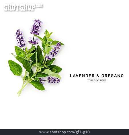 
                Oregano, Lavendel, Lavender & Oregano                   