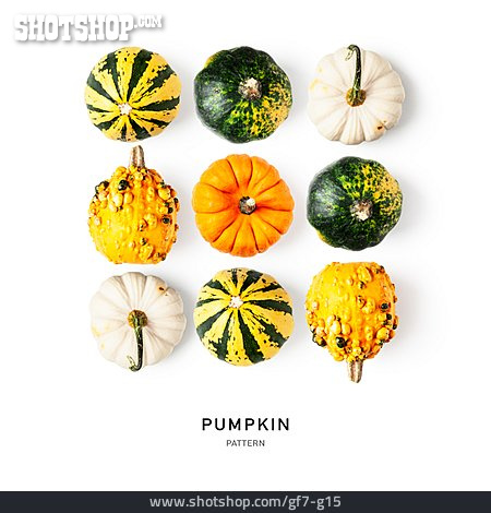 
                Kürbis, Pumpkin                   