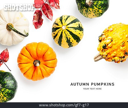 
                Autumn Pumpkins                   