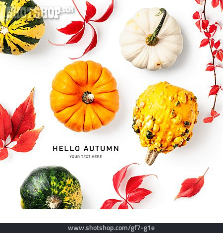 
                Herbst, Hallo, Hello Autumn                   