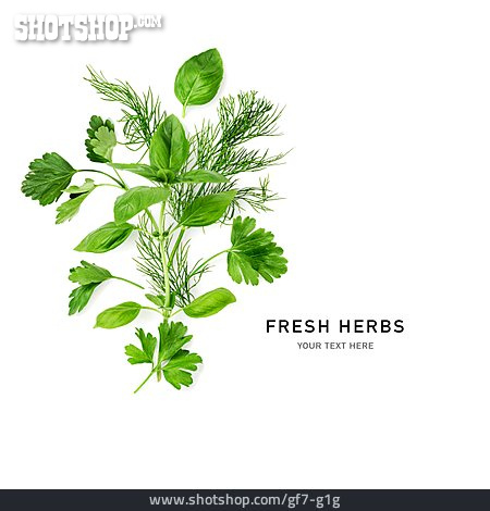 
                Frische Kräuter, Fresh Herbs                   