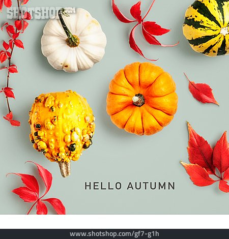 
                Herbst, Hallo, Hello Autumn                   