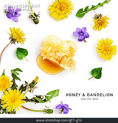 
                Löwenzahn, Honig, Honey & Dandelion                   