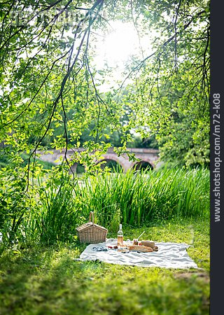 
                Natur, Sommer, Picknick                   