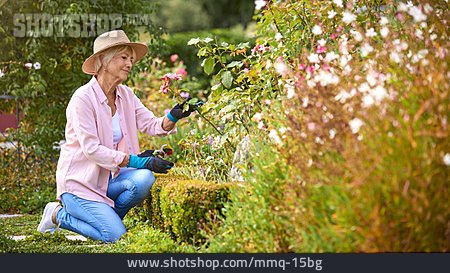 
                Garten, Gartenarbeit, Hobby                   