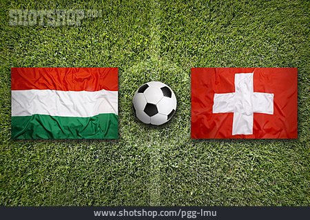 
                Fußball, Europameisterschaft, Schweiz, Ungarn                   