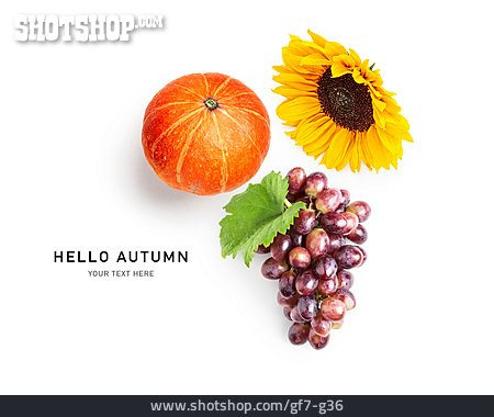 
                Hello Autumn                   