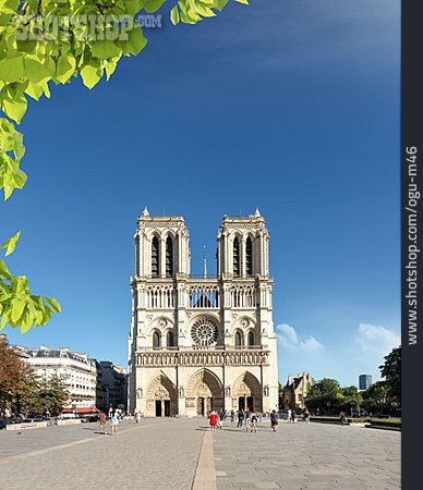 
                Paris, Notre-dame De Paris                   