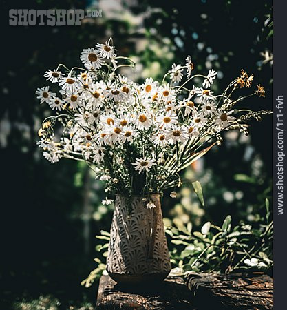 
                Blumenstrauß, Vase, Kamille                   