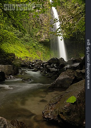 
                Wasserfall, Regenwald, Costa Rica                   