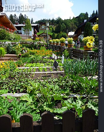 
                Gemüsegarten, Gemüsebeet, Bauerngarten                   