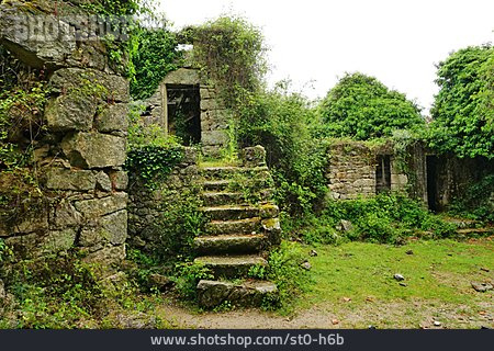 
                Ruine, Korsika, Tassu                   