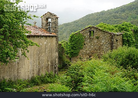 
                Korsika, Tassu                   