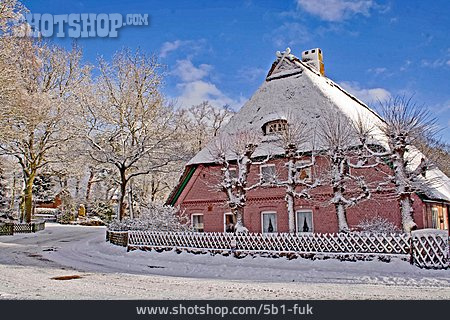 
                Winter, Verschneit, Reetdachhaus                   