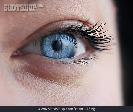 
                Auge, Blaue Augen, Iris                   