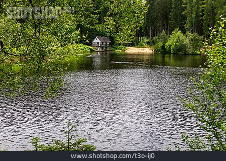 
                Waldsee                   