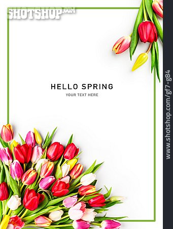 
                Hello Spring, Hallo Frühling                   