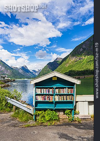 
                Norwegen, Bücherschrank                   