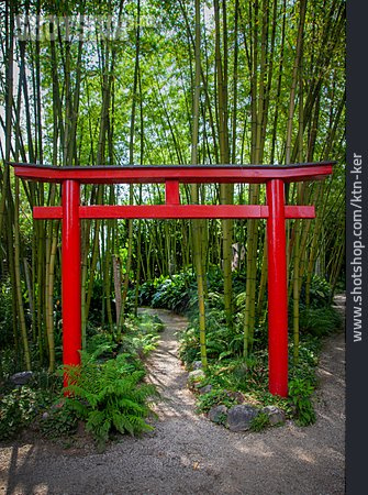 
                Japanischer Garten, Torii                   