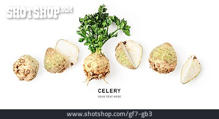 
                Sellerie, Celery                   