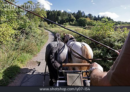 
                Kutschpferd, Kutschfahrt                   