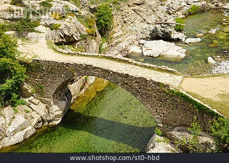 
                Steinbrücke, Golo                   