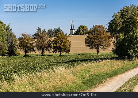 
                Feld, Kirchturm, Juntersdorf                   